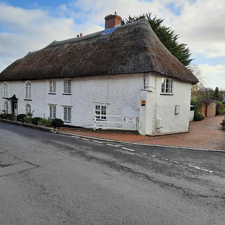 The White Cottage Colyton Exterior foto