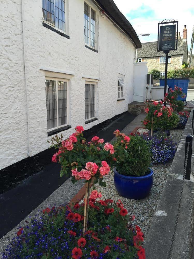 The White Cottage Colyton Exterior foto